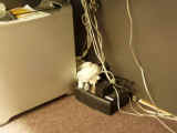 PIAA sleeping behind Shawn's Power Mac in his office (always unplugging the network cable)
