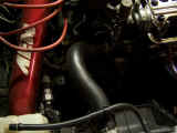 OEM radiator hoses